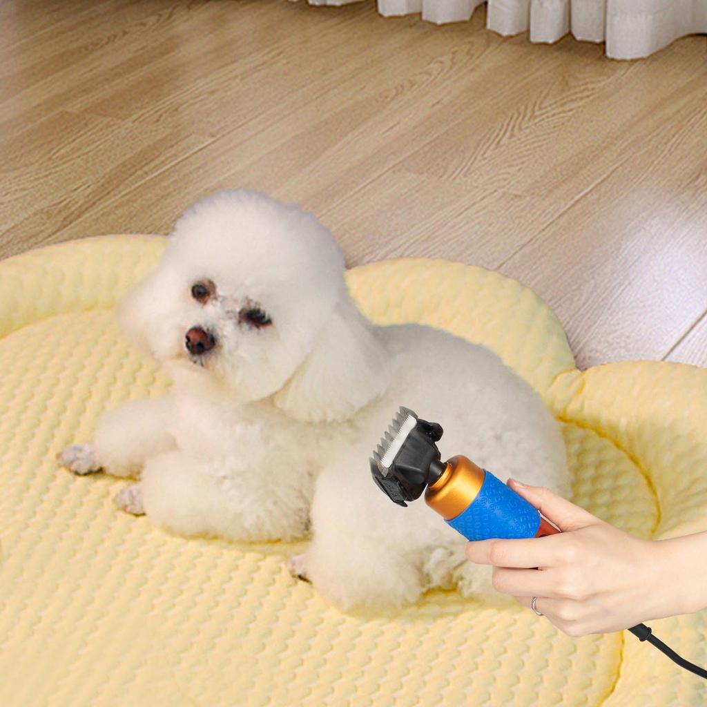 Pet Clipper 36W ≤60dB Quiet Operation 2000-6600RPM with Carrying Case 2 Guide Combs for Dogs Sheep Alpacas Carpet Trimming