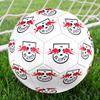 RBL logoSoccer Ball Colorful All Ages Machine Stitched PVC Competition Ready Durable High-Bounce