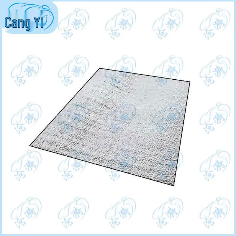 Cangyi Outdoor Multi-Purpose Moisture-Proof Mat
