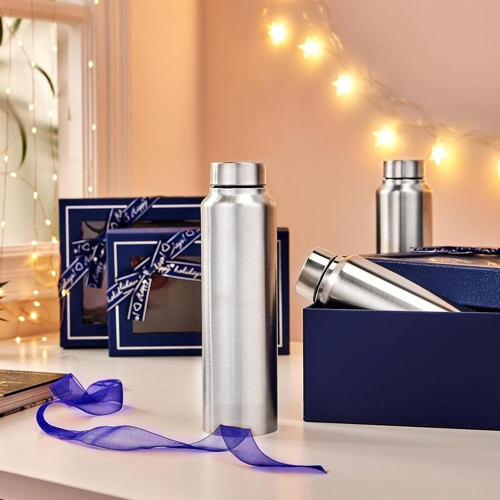 Slim Stainless Steel Water Bottle, Set of 3, 1 Liter Each