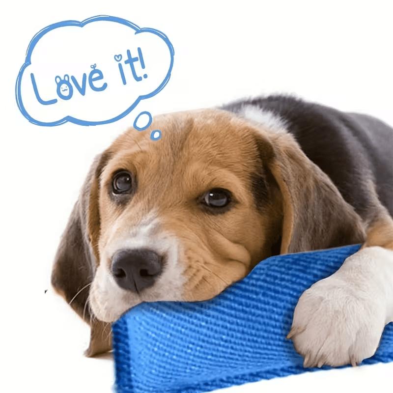 Langlebiges Hund Tau Ziehspielzeug Bissspielzeug Für Kleine Mittlere Hunde Welpentraining Kauen