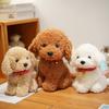 Câini, Pudeli, Pudeli, Câini Bichon Frise, Jucării Agitate, Jucării Amuzante pentru Decompresie, Jocuri Veselă, Cadouri de Crăciun pentru Favori de Petrecere.