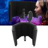 Adjustable Angles Mic Sound Absorbing Foam Reflector Portable Vocal Booth  for Studio