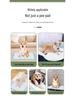 Adhesive Dog Pee Pads: Thick, Absorbent, Disposable, Deodorizing Diapers