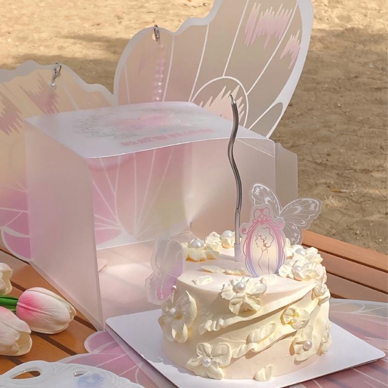 Set Of 5 Pink butterflycake Boxes Plastic Decorative Containers For functions