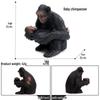 Realistic Animal Heart Model Toy: Lemur, Raccoon, Orangutan, Baboon