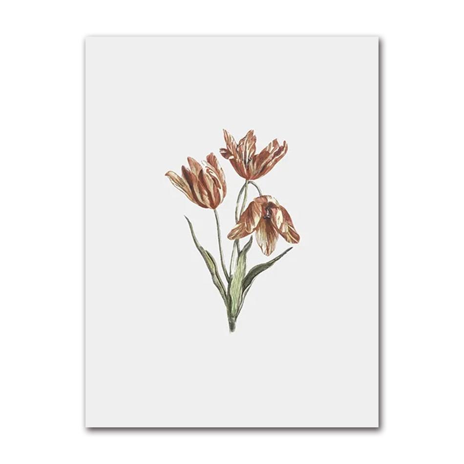 Vintage Wildpflanzen Poster Botanische Blumendrucke Leinwandmalerei Moderne Wandkunst Bilder für Wohnzimmer Dekoration