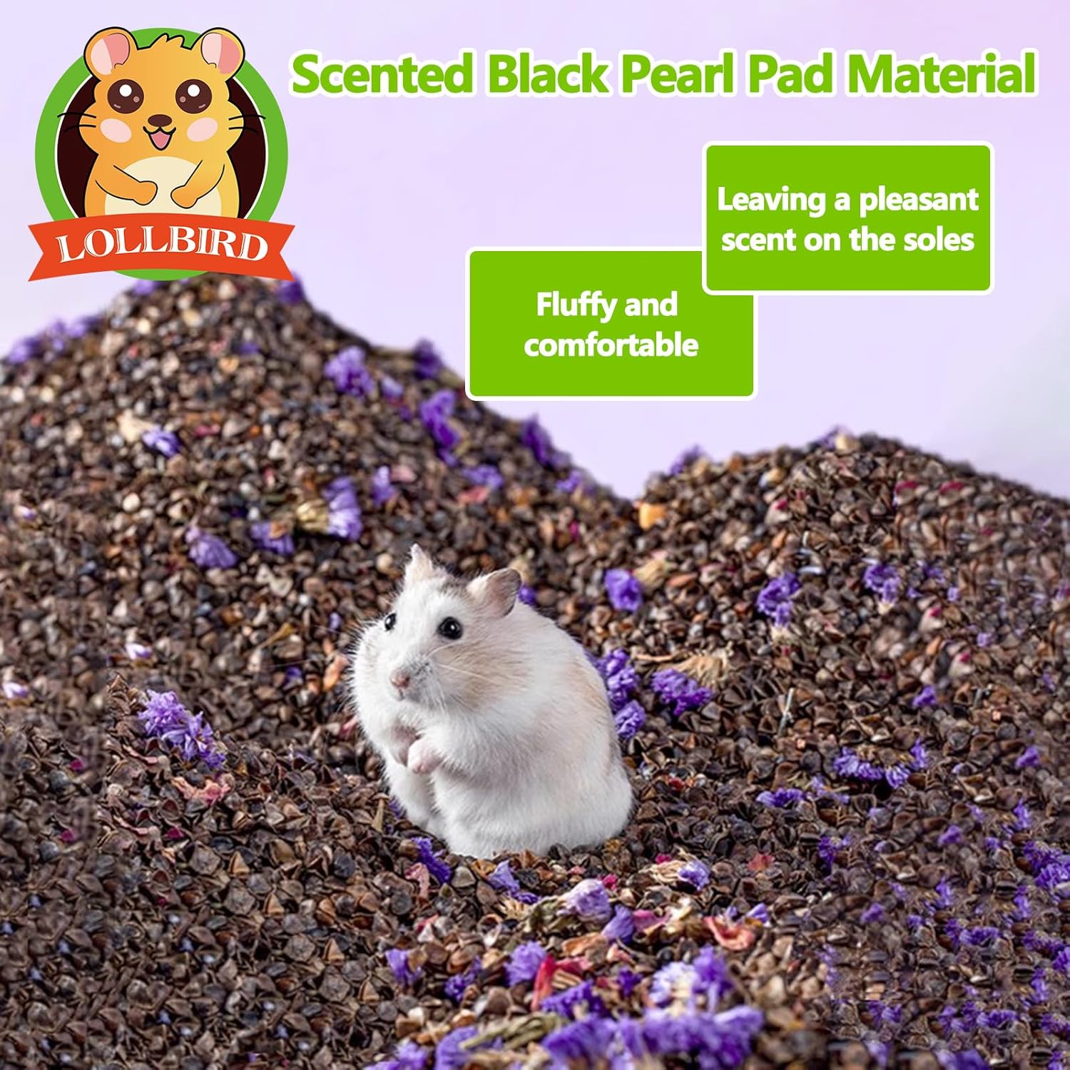 Natural Buckwheat Hulls Hamster Bedding - Low Dust, Odor Control (1.55lb) 0 78lb