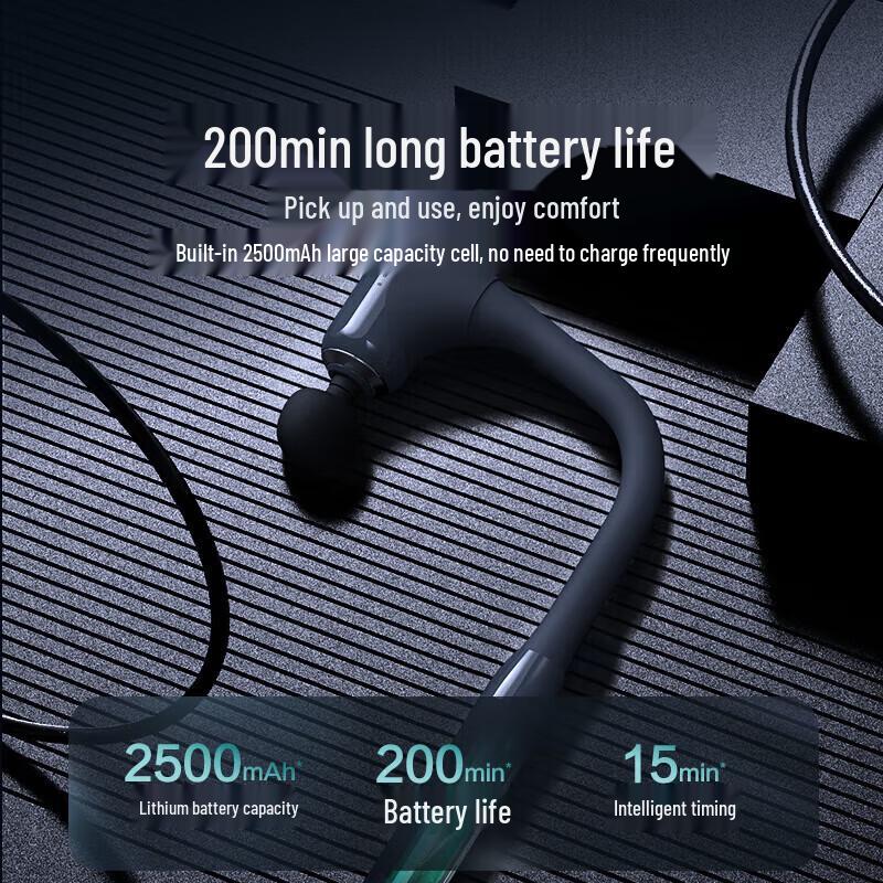 Philips PPM3503G Professional Muscle Massager