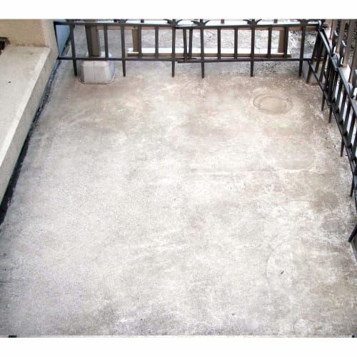 Toyaku Moss and Mold Remover 420ml