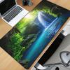 Accesorii pentru calculatoare – Mouse pad-uri și suporturi mână