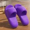 Princess Series Eva Slippers For Women Men Non Slip Home Casual Summer Footwear