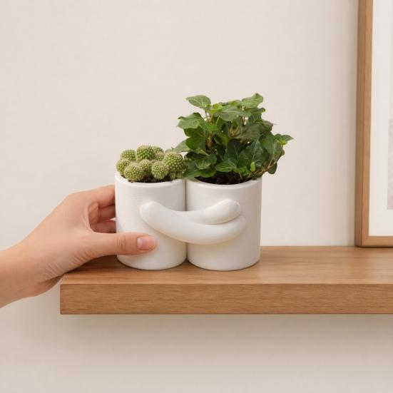 Maceta con Diseño de Abrazo, Textura Blanca Mate Impresa en 3D Maceta de Doble Cuenca, Maceta Pequeña Estilo Nórdico para Plantas Verdes para Decoración de Escritorio