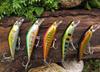 Trout Lure Mountain Stream Sinking Minnow 52mm 5g Set for and Rainbow Trout [Seiran Lure] Iwana, Yamame,