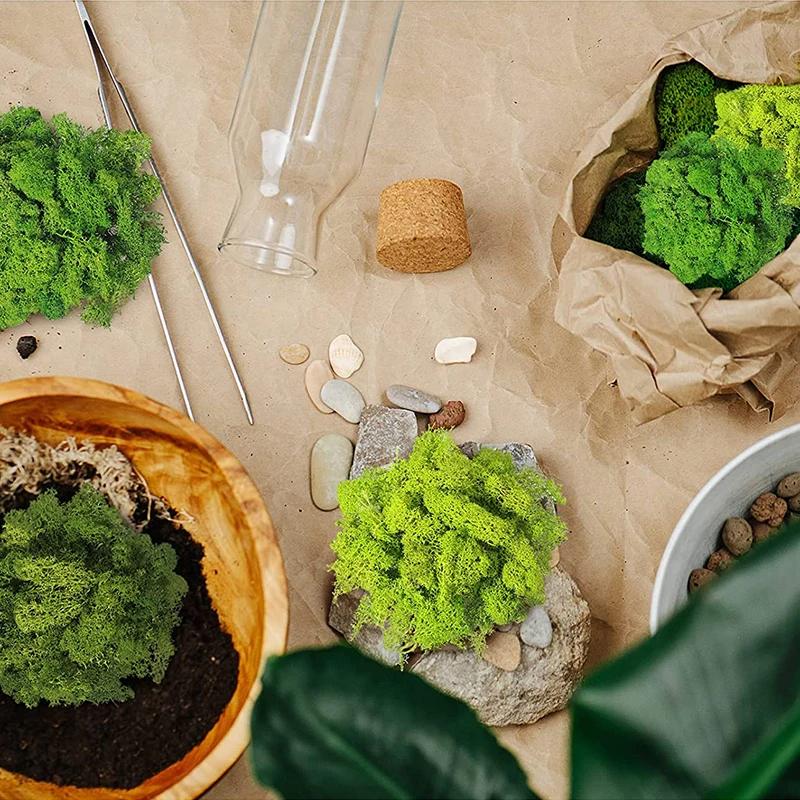 Handmade Artificial Plants Preserved Moss Simulation Fake Plant Garden Decor Landscape Wall Decor Home Decoration Accessories Gifts