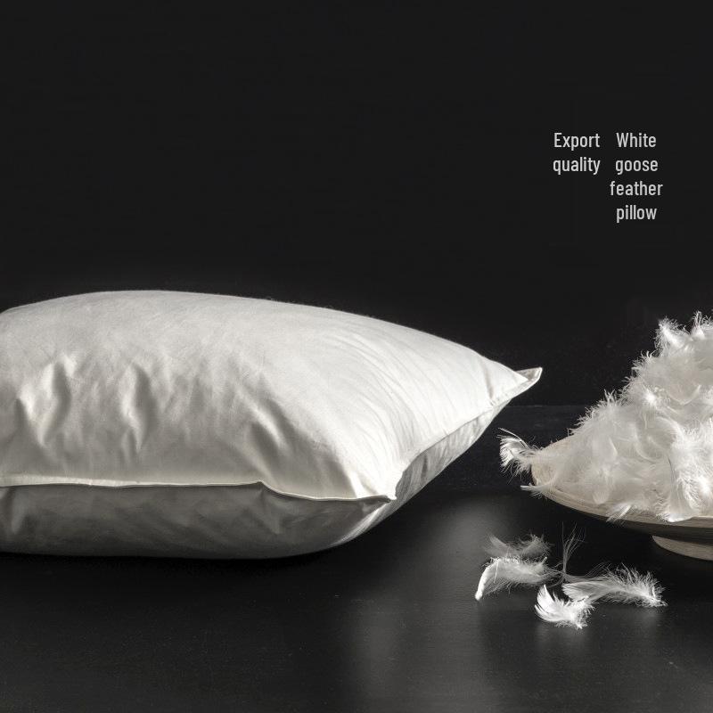 White Goose Feather Pillow Core 45x45cm: Hotel Sofa Cushion for Lumbar Support