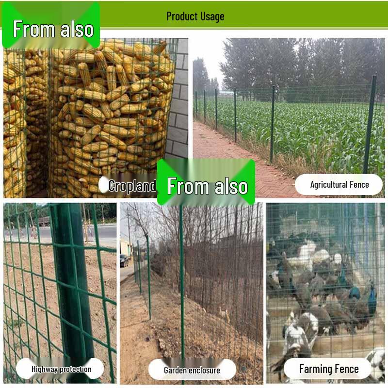 Holland Net Wire Mesh Fence
