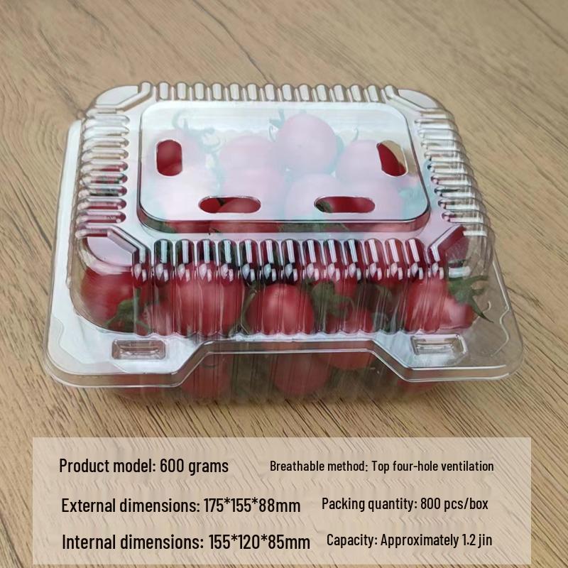 Portable Disposable Transparent Plastic Rectangular Fruit Packaging Box with Lid