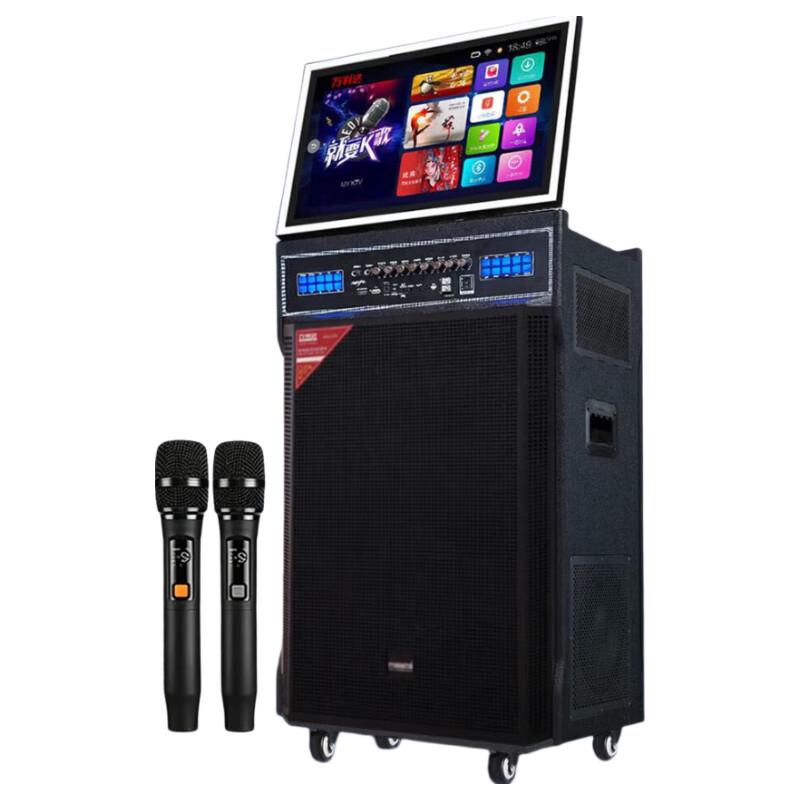 Malata A15 Portable Home Karaoke System (CN version)