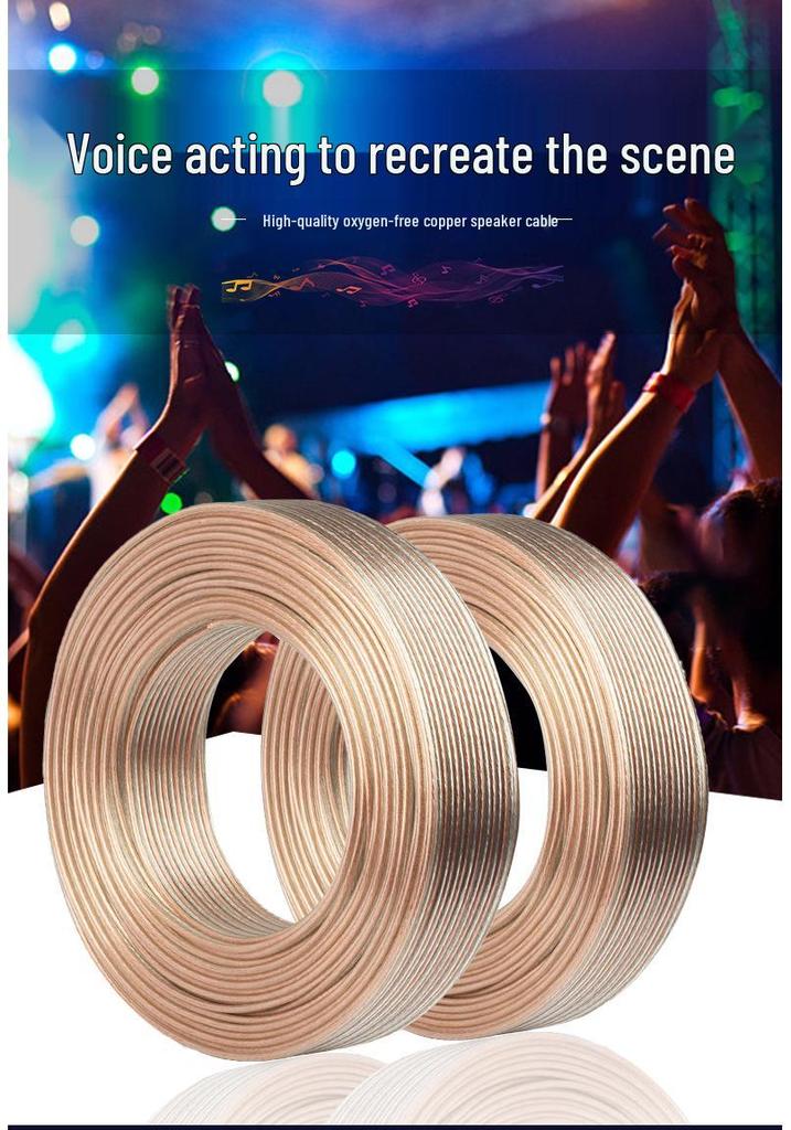 Baoxun 100m Oxygen-Free Copper Speaker Cable with OFC Satellite Optical Fiber