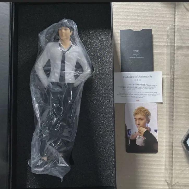 

Вариант куклы Lay Exo Doll