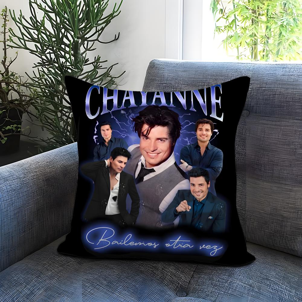 Fashion C-CChayanne Cushion Cover Comfortable Reversible Pillow Cover Ideal for Car Sofa Bedroom & Beyond