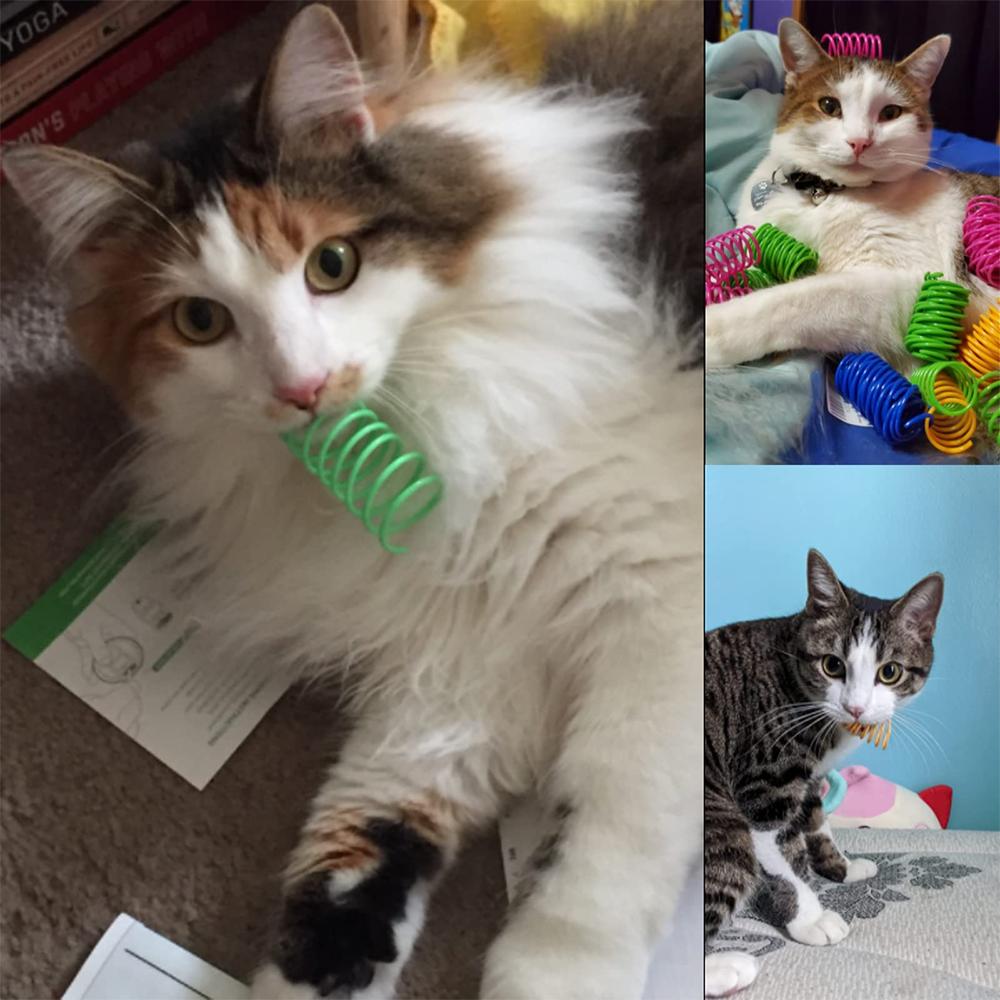 4/100pcs Cat Spring Toy, Cat Spiral Toys Interactive For Indoor Colorful Cats Plastic Springs Coil For Kitten Hunting Swatting