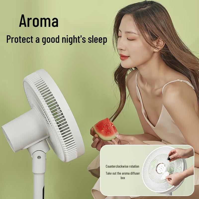 Diamond DC Inverter Pedestal Fan, AI Voice & Remote Control, Level 1 Energy Efficient CN Plug (adapter Included)