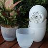Lazy Self-absorbing Water Flower Planter with Tray Promote Root Respiration Vase Simple Flowerpot for Garden Planting Supplies