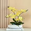 Realistic Phalaenopsis Artificial Flower Centerpiece for Dining Table with Vase