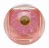 Blossom Lip Gloss DUO Pink (Clear 4gColor 4g)