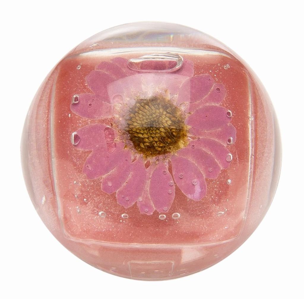 Blossom Lip Gloss DUO Pink (Clear 4gColor 4g)