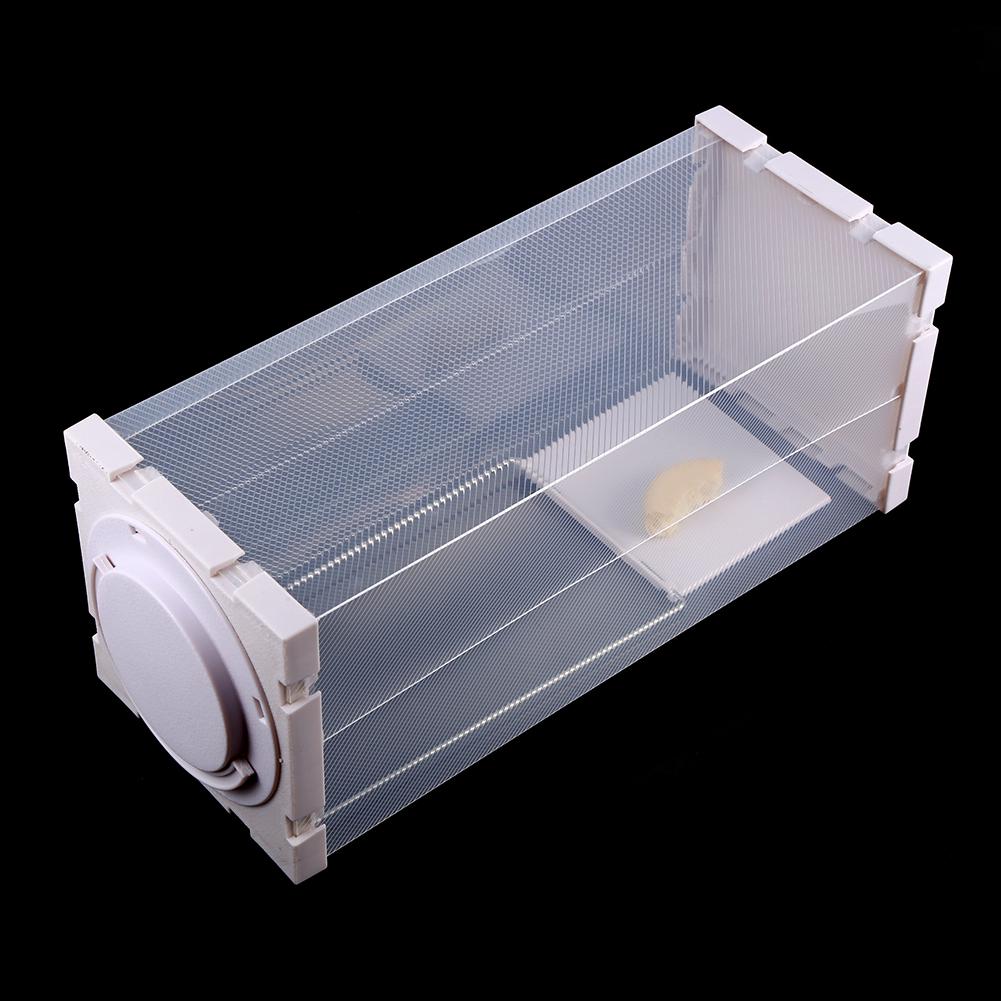 Humane Rat Trap Cage Live Animal Pest Rodent Mice Mouse Control Bait Catch