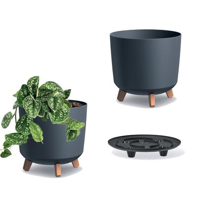 Decorațiuni pentru casă – Ghivece de flori decorative