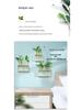 Nordic Glass Vase with Wooden Stand: Hydroponic Plant Table Decoration