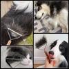AIDIYA Dog Cat Hair Pet Hair Tangle Loose Hair Removal Stainless Pet Removes Shedding Hair and Suitable for Dogs and Long and Short Hair & Comb, Comb,