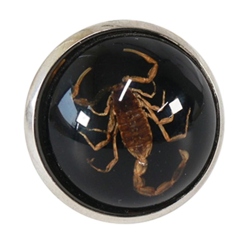 Stylish Round Scorpion Rings Adjsuatble Opening Rings Resin Statement Piece Unique Finger Jewellery Trendy Couple Gift