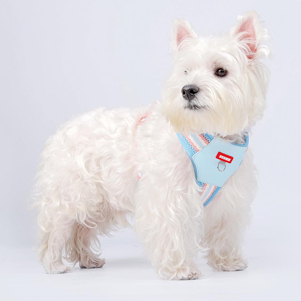 Neueste Welpen Hundeleinen Geschirre Kein Ziehen Haustiergeschirre für Kleine Mittlere Hunde Pomeranian Pudel Mops Mascotas Zubehör Zubehör