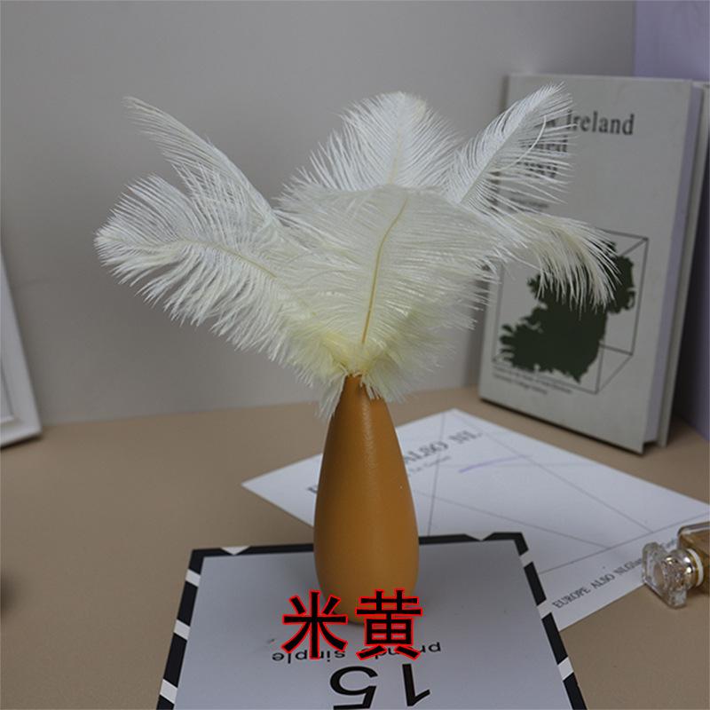 10 STÜCKE 20-25Cm Straußenfeder Bühnenauftritt Feder Handgefertigt DIY Schmuck Dekomaterial Straußenhaar