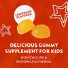 Nature's Way Children's Brain Builder 4 Years+ Lemonade Flavored Gummies, 60 Count