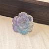 Dopamine  Beaded Jelly Shoes Sandals Accessory Diy Decorative Shoe Flower Slippers Shoe Buckle Accessories