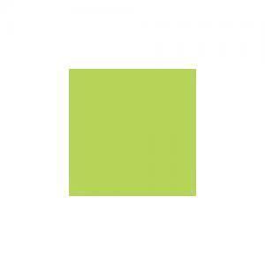 Derwent Artists Pencil - Peut vert 4800 (EA)