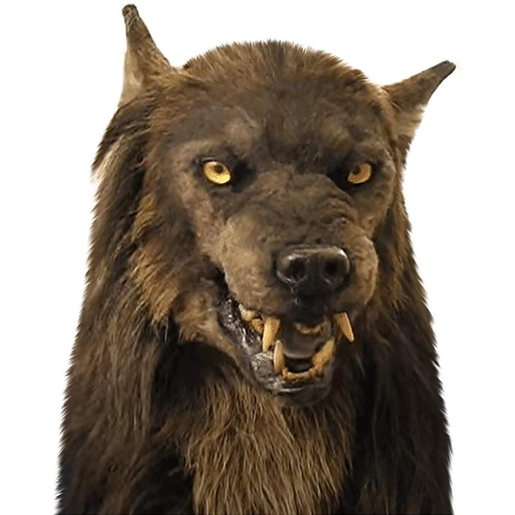 Maschera Lupo Involucro Testa Occhi Luminosi Set Testa Peluche Maschera in  Lattice Copricapo Simulazione Animale Lupo Bianco acquista in modo  economico — spedizione gratuita, recensioni reali con foto — Joom, image size:1001x1001