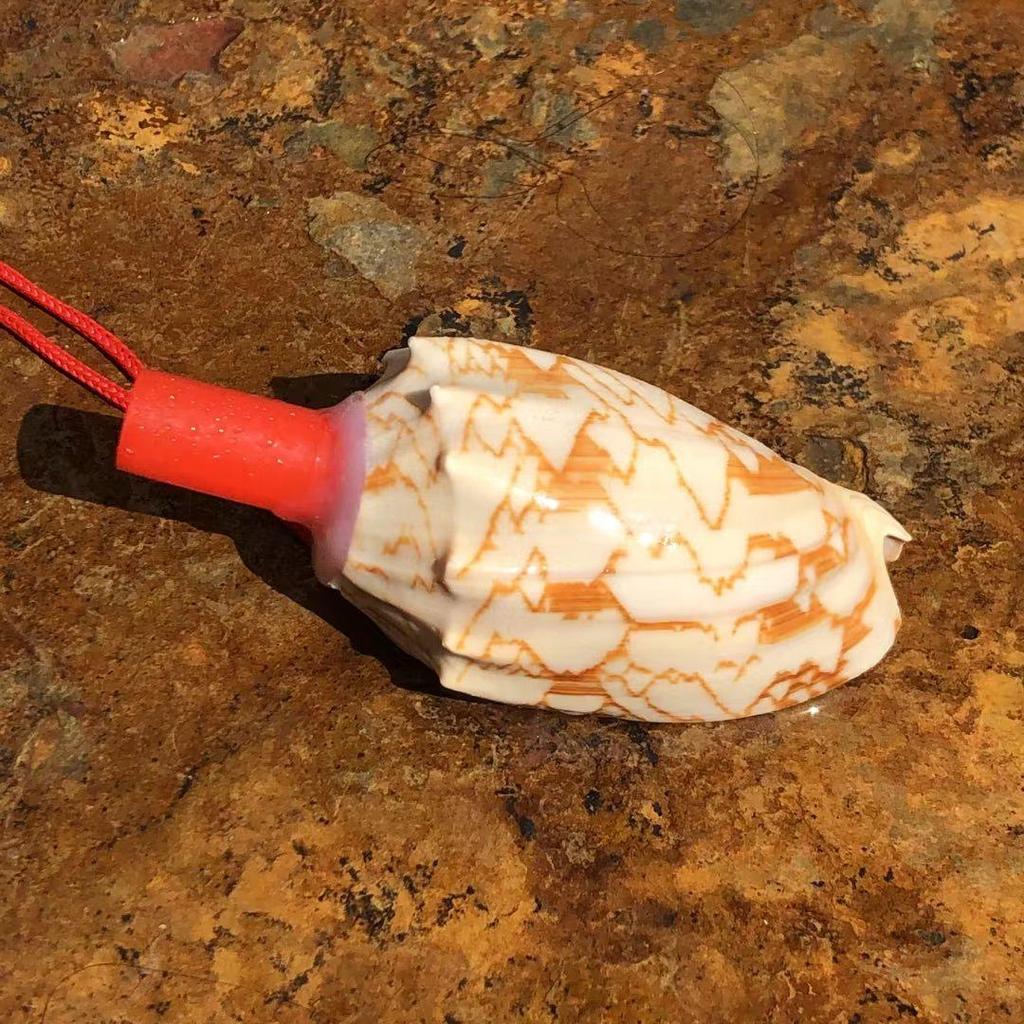 Street Stall Conch Shell Whistles & Toys: Creative Souvenirs