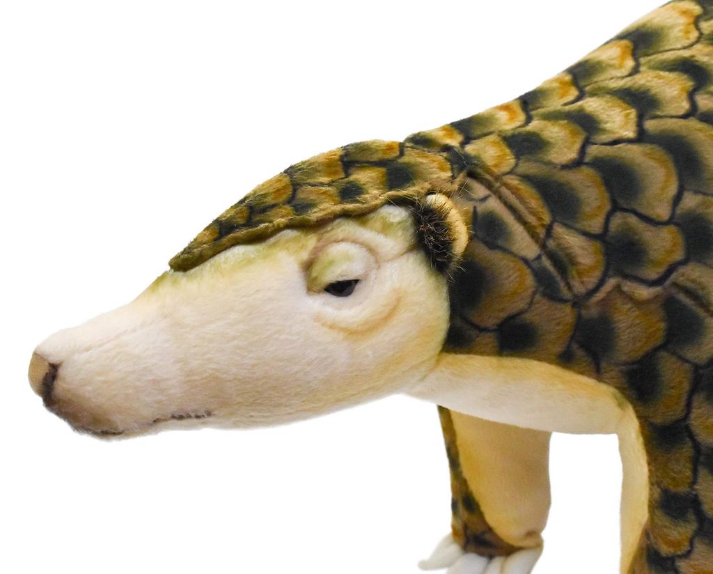 BH6842 HANSA Pangolin 90