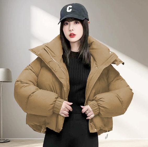 Women's Long Sleeve Puffer Jacket Stand Collar Casual Oversized Down Coat Winter Warm Outerwear