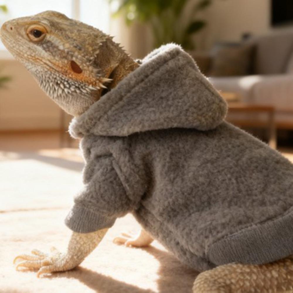 Skin Protection Lizards Clothes Handmade Reptiles Apparel Cute Bearded Dragon Hoodies  Four Seasons