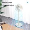 Midea 5-Blade Energy-Saving Pedestal Fan CN plug (adapter included)