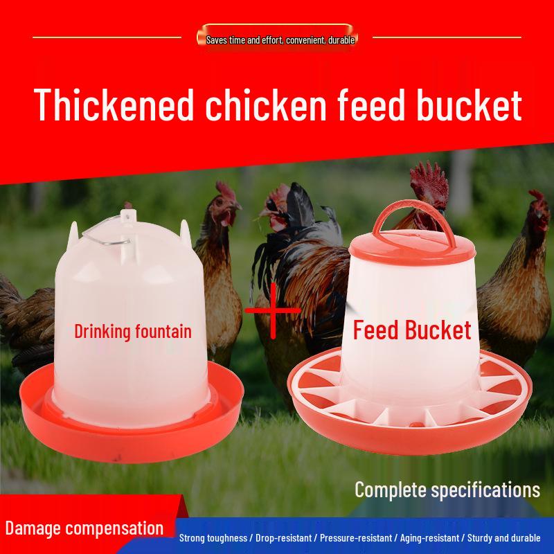 Automatic Chicken Feeder & Drinker Set: Feed Bucket & Trough for Chicks