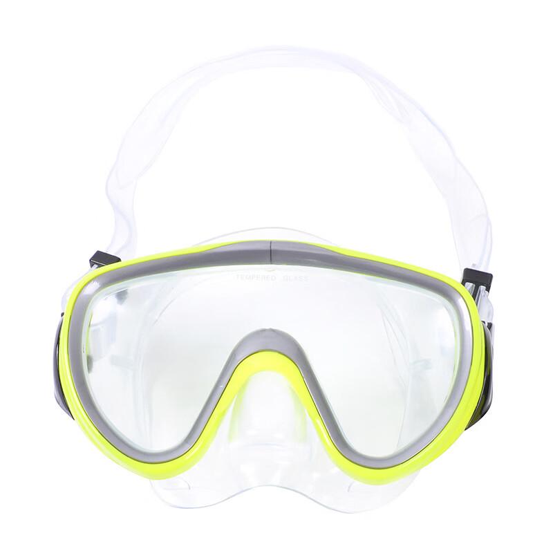 Pulaian Snorkeling Mask